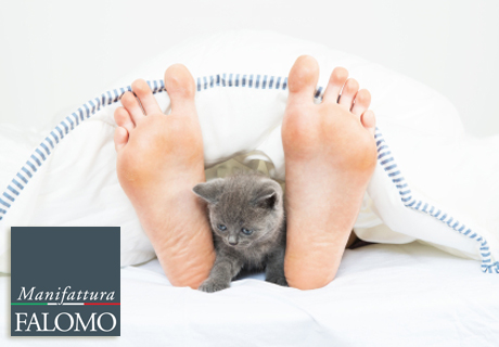 Schlafen mit Haustieren: sind Sie einer von denen?