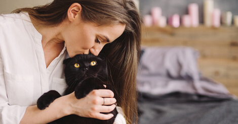 Schläft Ihre Katze bei Ihnen? Dann sollten Sie Folgendes wissen